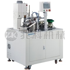 非標定制磁鐵壓入機